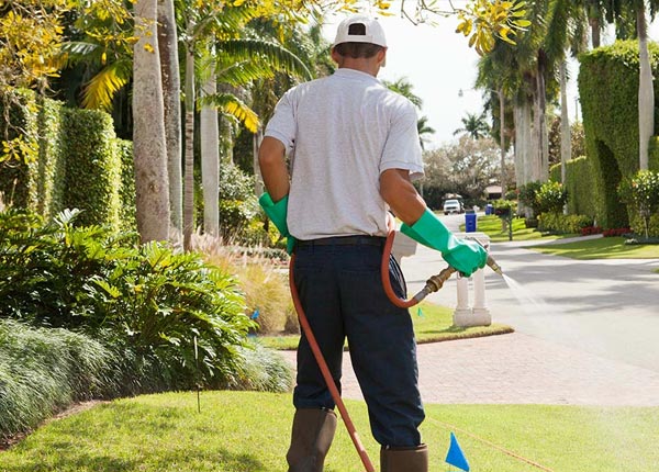 About Linden CA Pest Control